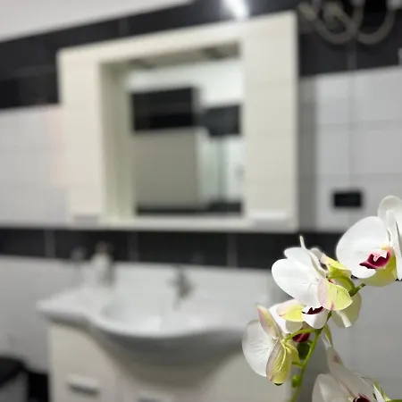公寓 3 Bedroom In Zverneci