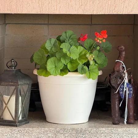 3 Bedroom In Zverneci