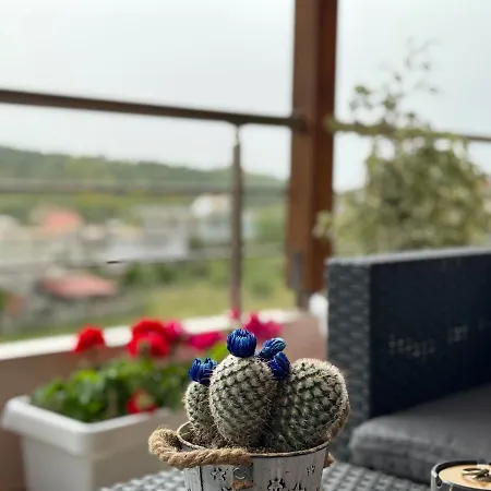 3 Bedroom In * Zverneci